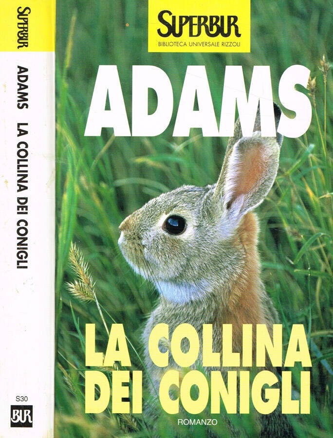 Copertina  La collina dei conigli